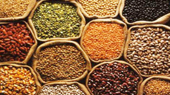 dry food supply 2 dry food supply 2